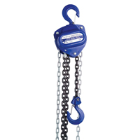Chain Hoist, 10' Lift, 2000 lbs. (1 tons) Capacity, Load Chain Grade 80 Chain Nuna Depot Inc.