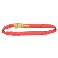 Polyester Round Sling, Red, 3" W x 16' L, 14000 lbs. Vertical Load Nuna Depot Inc.
