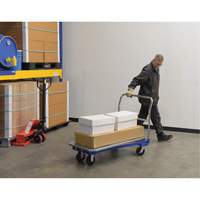 Platform Cart, 48" L x 24" W, 1500 lbs. Capacity, Mold-on Rubber Casters Nuna Depot Inc.