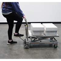 Hydraulic Scissor Lift Table, 31-1/2" L x 19-1/2" W, Stainless Steel, 550 lbs. Capacity Nuna Depot Inc.