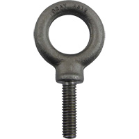 Alloy Steel Eye Bolt, 1" Dia., 1-1/4" L, 1480 lbs. (0.74 tons)/1480 lbs. Capacity Nuna Depot Inc.