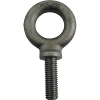 Alloy Steel Eye Bolt, 1-3/8" Dia., 1-3/4" L, 4300 lbs./4300 lbs. (2.15 tons) Capacity Nuna Depot Inc.