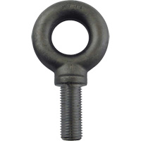 Alloy Steel Eye Bolt, 2-1/2" Dia., 3-1/2" L, 26600 lbs. (13.3 tons)/26600 lbs. Capacity Nuna Depot Inc.