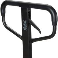 Quick-Lift Manual Pallet Truck, Steel, 48" L x 20.5" W, 5500 lbs. Capacity Nuna Depot Inc.