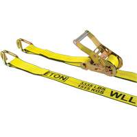 Cargo Tie Downs