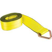 Logistic Strap, Delta Ring, 4" W x 30' L, 5400 lbs. (2449 kg) Working Load Limit Nuna Depot Inc.