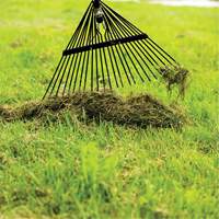 Lawn Rake, 24 Tines, Hardwood Handle, Steel Blade Nuna Depot Inc.