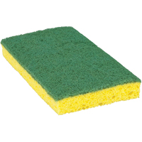 &eacute;ponge &agrave; r&eacute;curer pour travaux moyens Scotch-Brite, &agrave; r&eacute;curer, 3-3/5" la x 6-1/10" l Nuna Depot Inc.