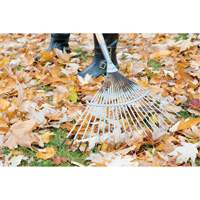 Pro Fan Rake, 24" Blade, 22 Tines, Hardwood Handle, Steel Blade Nuna Depot Inc.