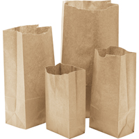 Paper Bags #20, Paper, 8-1/4" W x 16-0/0" L Nuna Depot Inc.