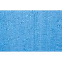 Tarp, Standard Duty, Blue, 7' x 5' x 4 mils Nuna Depot Inc.