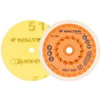 Quick-Step Instant Polish Discs, 5" Dia. Nuna Depot Inc.