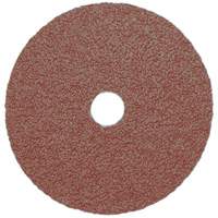 Resin Fibre Sanding Disc, Aluminum Oxide, A16, 5" Dia x 7/8" Arbor Nuna Depot Inc.