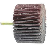 Shaft Mounted Flapwheel, 60 Grit, 1-1/2" x 1/4" Nuna Depot Inc.