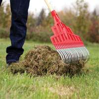 Multi-Purpose Lawn Rake, 20" Blade, 20 Tines, Hardwood Handle, Steel Blade Nuna Depot Inc.