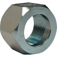 Dixon&reg; Mining Hex Nut, 1", Zinc Plated, NPT Thread Nuna Depot Inc.