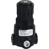 R&eacute;gulateur miniature R03 Wilkerson, 1/8" NPT, PSI max. de 300 psi, Standard Nuna Depot Inc.
