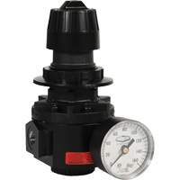 R&eacute;gulateur Wilkerson R26, 1/2" NPT, PSI max. de 300 psi, Standard Nuna Depot Inc.