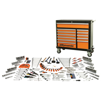 Advanced Master Tool Set, 367 Pieces Nuna Depot Inc.