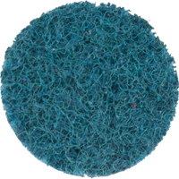 Disque de conditionnement de surface Scotch-Brite Roloc, 1" dia. Nuna Depot Inc.