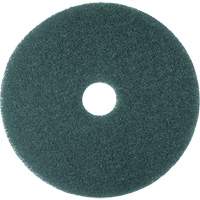 Cleaner Pad, 13", Scrubbing, Blue Nuna Depot Inc.