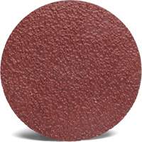 Disque abrasif Roloc 782C 3M, 2" dia., Grain 36+, C&eacute;ramique Nuna Depot Inc.