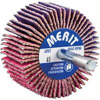 Mini-meule &agrave; lamelles mont&eacute;e sur tige, C&eacute;ramique d'alumine, Grain 40, 2" x 1" x 1/4" Nuna Depot Inc.