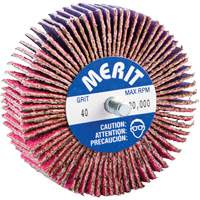 Mini-meule &agrave; lamelles filet&eacute;es, C&eacute;ramique d'alumine, Grain 40, 3" x 1" x 1/4"-20 Nuna Depot Inc.