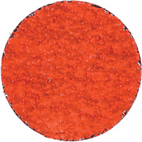 Blaze R980P Quick-Change Cloth Disc, 2" Dia., 36 Grit, Ceramic Alumina Nuna Depot Inc.