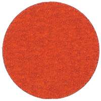 Blaze R980P Quick-Change Cloth Disc, 2" Dia., 60 Grit, Ceramic Alumina Nuna Depot Inc.