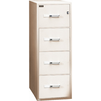 Classeurs &agrave; l'&eacute;preuve du feu, Acier, 4 tiroirs, 19-3/4" la x 31" p x 54" h, Beige Nuna Depot Inc.