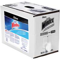 Nettoyant pour vitres Windex avec Ammoniac-D, 5 gal., Sac Nuna Depot Inc.