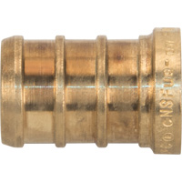 Lead-Free Pipe Plug, Pipe, 1/2" Dia., Brass Nuna Depot Inc.