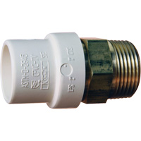 Adaptateur de tuyau filet&eacute;, Noeud x MPT, 1" dia., Laiton/PVC-C Nuna Depot Inc.