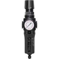 Filtre/r&eacute;gulateur drain manuel avec bol en m&eacute;tal Modulair 300, 1/4" NPT, 250 PSI, Capacit&eacute; de 5,1 oz liq. Nuna Depot Inc.