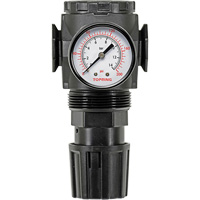 R&eacute;gulateur avec manom&egrave;tre Modulair 300, 1/4" NPT, PSI max. de 300 psi, Canalisation/Modulaire Nuna Depot Inc.