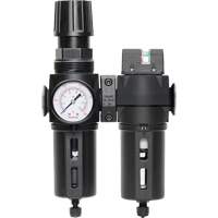 Filtre/d&eacute;tendeur & filtre coalescent Modulair 300 avec bol standard & drain manuel, 3/8" NPTF, 150 psi, Capacit&eacute; de 5,12 oz liq Nuna Depot Inc.