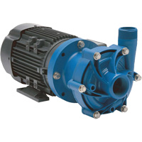 Magnetic Drive Pump with Carbon Bushing Nuna Depot Inc.