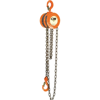 Chain Hoist, 10' Lift, 1000 lbs. (0.5 tons) Capacity, Steel Chain Nuna Depot Inc.