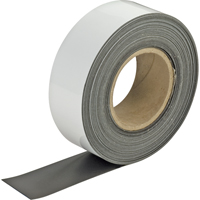 Write-On Magnetic Tags, Magnetic, 600" L x 2" W Nuna Depot Inc.