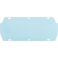 Facetec Polycarbonate Visor, Polycarbonate, Clear Tint Nuna Depot Inc.