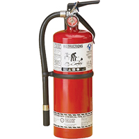 Extincteur d'incendie, ABC, Capacit&eacute; 5 lb Nuna Depot Inc.