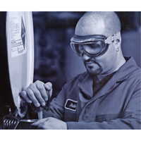 Lunettes de s&eacute;curit&eacute; &agrave; coques Uvex Flex Seal, Lentille 3,0, Antibu&eacute;e, Ventilation Indirecte Nuna Depot Inc.