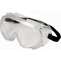 Encompass Safety Goggles, Clear Lens, Anti-Fog, Indirect Vent Nuna Depot Inc.