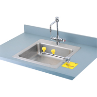 Swing-Away Eyewash Station, Counter-Mount Installation Nuna Depot Inc.