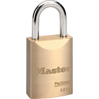 ProSeries&reg; Padlock, Silver, Keyed Different, Brass Coating, 1-9/16" Width Nuna Depot Inc.