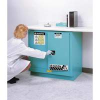 Armoires de s&eacute;curit&eacute; pour acides & produits corrosifs avec doublure ChemCor, 22 gal., 35" x 35" x 22" Nuna Depot Inc.