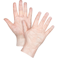 Economy Disposable Gloves, Large, Polyethylene, 1-mil, Powder-Free, Clear Nuna Depot Inc.