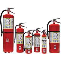 Extincteur d'incendie, ABC, Capacit&eacute; 30 lb Nuna Depot Inc.