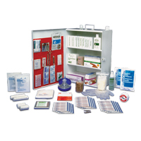 Ontario Workplace Standard First Aid Kit, Class 1 Medical Device, Metal Box Nuna Depot Inc.